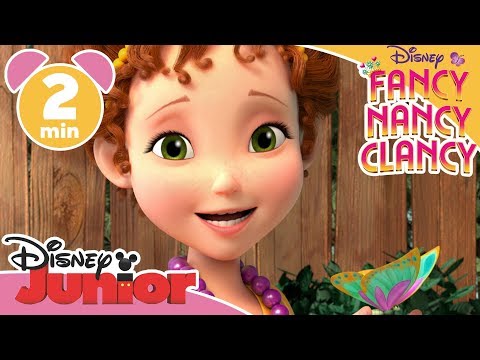 Fancy Nancy Clancy | Lär känna Nancy 🦋- Disney Junior Sverige
