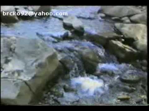 AR BIH - Da te nije Alija