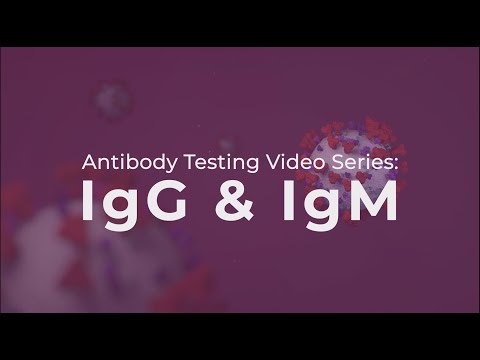 Antibody Testing: IgG and IgM explained