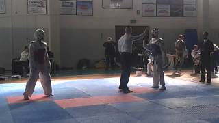 preview picture of video 'Taekwondo Regionale Emilia Romagna 2015 Francolini (rosso) Vs Lamberti (blu)'