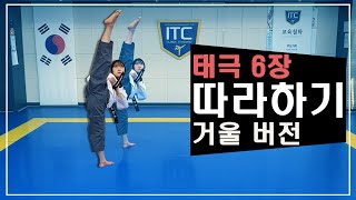 태극 6장 거울버전 & 후면버전 동시 제공