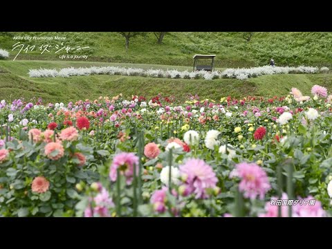 Akita City promotion video "Life is a Journey" Facility information version