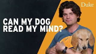 CAN MY DOG READ MY MIND?  Extra Credit with Dr Bri