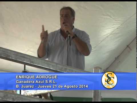 Cabaña Tres Marías - Enrique Adrogue - Ganadera Azul S.R.L. - B. Juarez - 21/08/2014