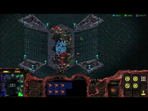 12 Zealots vs 24 Cracklings