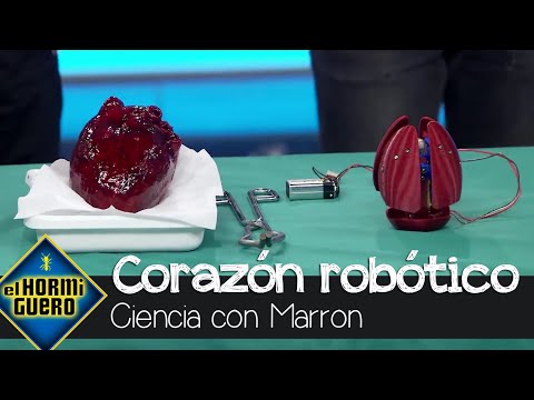 Marron trae por primera vez un corazón robótico - El Hormiguero