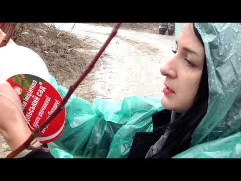 Активисты Подола и Воздвиженки устроили акцию самосада