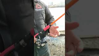 Ссылка