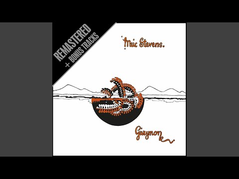 Dic Penderyn (live) - bonus track