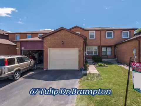 67 Tulip Dr, Brampton, ON
