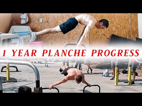 INCREDIBLE PLANCHE PROGRESSION - FROM ZERO TO HERO!
