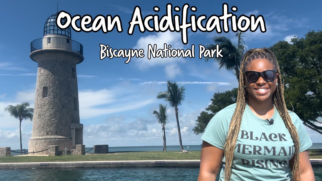 How Climate Change is Making Our Oceans More Acidic | Ocean Acidification | Biscayne National Park
