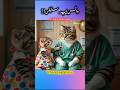 Kitten Vs Doctor Chot Pe WhatsApp Status Funny Short Shorts Catlovers Cat Ytshorts