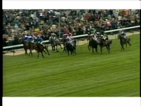 Tiger Hill Promotion Video