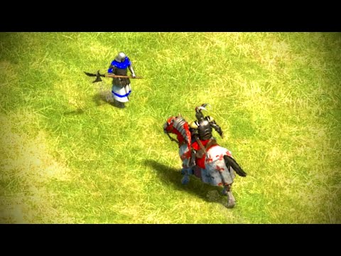 Bohemians Halberdier On a Hill vs Paladin | AoE II: Definitive Edition