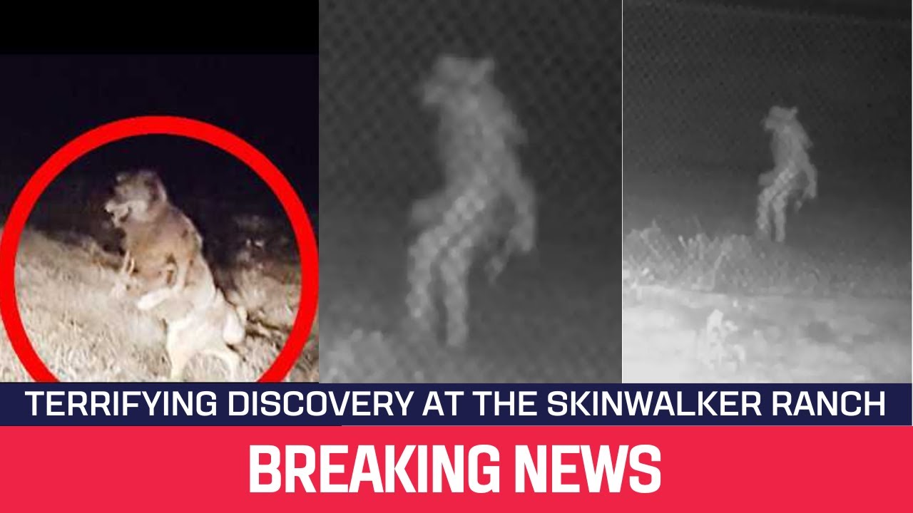 YouTube Thumbnail Downloader FULL HQ IMAGE