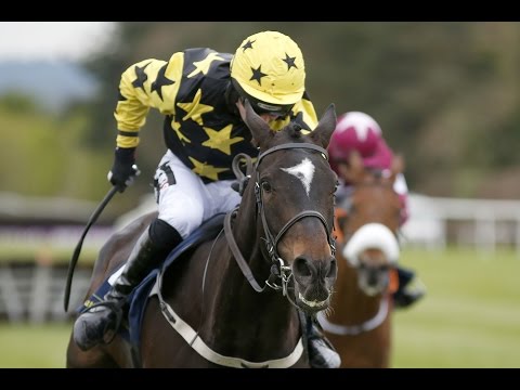 Bacardys - Tattersalls Ireland Champion Novice Hurdle