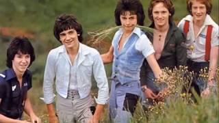 Rosetta Stone Ian Mitchell Judy Judy Judy