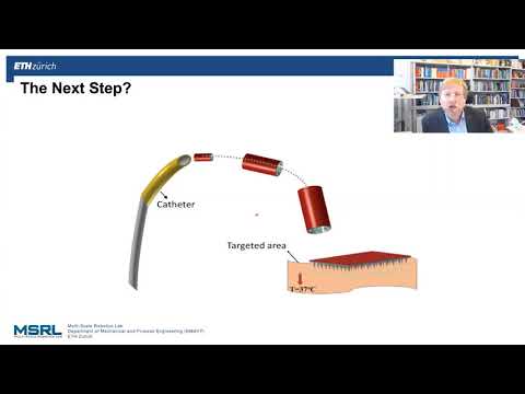 I-RIM 2020 -  “Microrobotics and Nanomedicine: Future Directions in Medical Robotics” by Brad Nelson