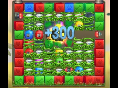 Pet Rescue Saga Level 5641 no boosters