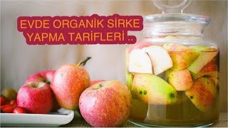 EVDE SAĞLIKLI VE ORGANİK SİRKE YAPMA TARİFLERİ