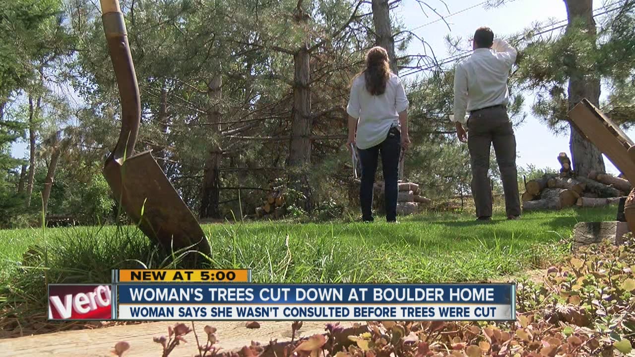 Power company, Boulder couple disagree on cut trees