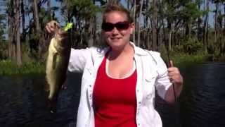 preview picture of video 'Fishing Dog River - 2.8lb Bass on Spinnerbait'