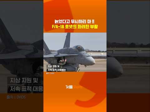 미 해병대 '늙은 말벌'의 변신... 2만 달러 로켓으로 '드론 킬러' 등극#shorts https://img.youtube.com/vi/0zycwkn3yl8/0.jpg 미 해병대 '늙은 말벌'의 변신... 2만 달러 로켓으로 '드론 킬러' 등극#shorts