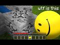 I Bought Minecraft S Dumbest Mods