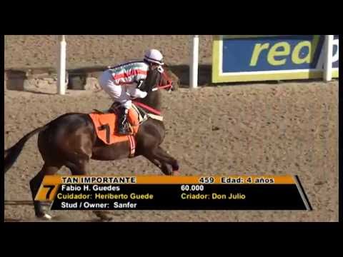HIPÓDROMO LAS PIEDRAS HLP 18/05/14 c10 GRAN PREMIO Ubaldo Sere RECUERDOS
