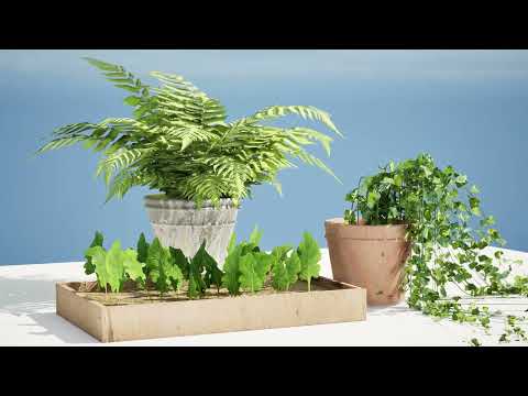 pot plant trio 3 animation with unreal engine and 3d files