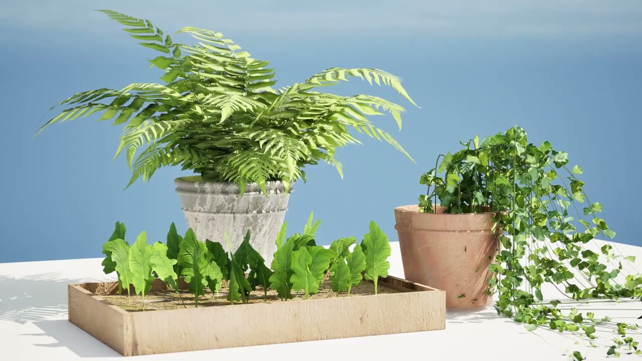 Pot plant trio 3d pack 3D Model