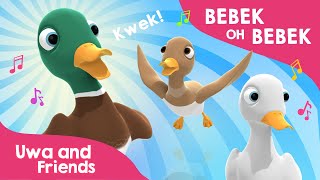 Download lagu Bebek Oh Bebek - Lagu Binatang - Lagu Anak Indonesia Terbaru mp3