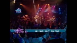 Allman Brothers Band Kind of Bird in Germany 1991