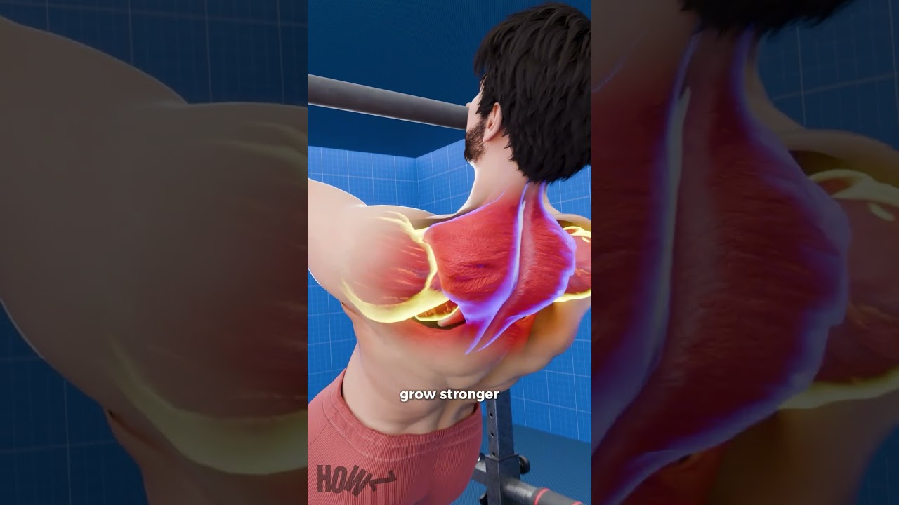 What Happens If You Only Train Back? 💪