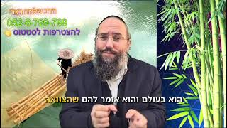 פרשת ויחי כוח אחדות