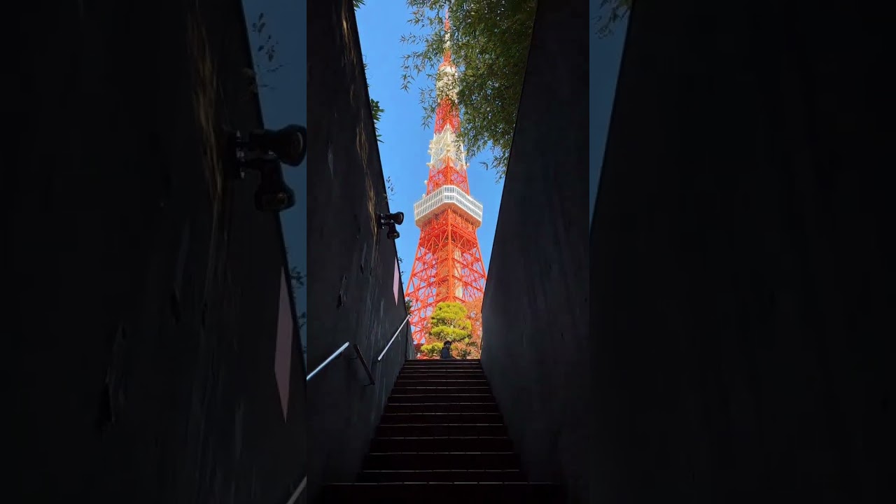 第一次看到这个视频是四年前 没想到四年后我也来到 没想到四年后我也来到了同样的地方 东京塔 东京 #旅行团 #导游 #中高级订制图 #中日翻译 #带团