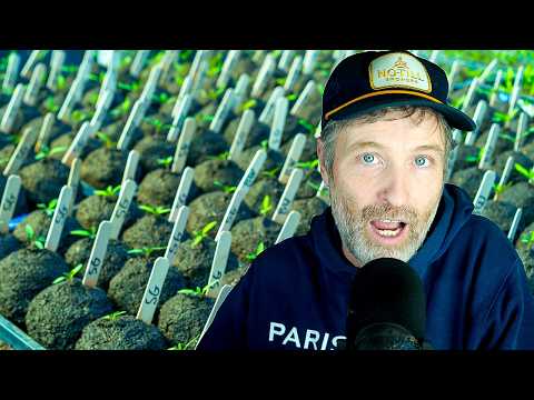 No-Till: Potting Up & Broadforking for Soil Health