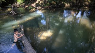 Thailand: Toxic Water, Tainted Justice
