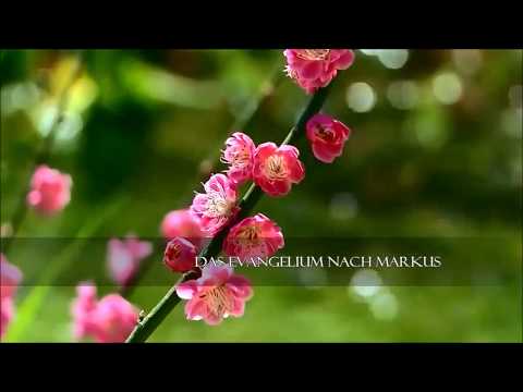 Das Evangelium nach Markus/Kapitel 1