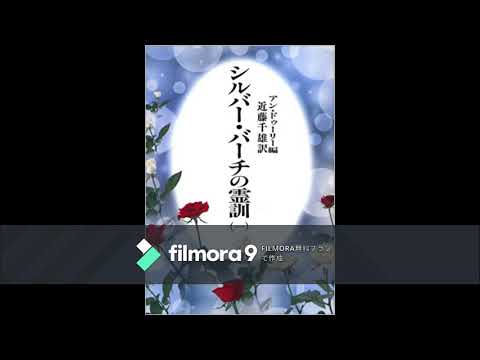 園芸 シルバーバーチ