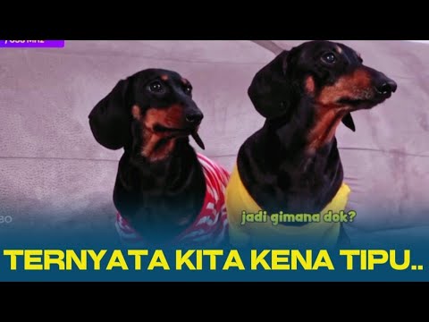 KASIAN SARUL DAN ARIF KENA TIPU‼️