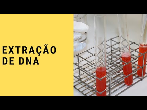 DNA EXTRACTION