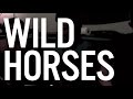 "Wild Horses" Alicia Keys & Adam Levine 