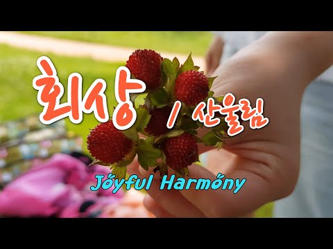 회상 / 산울림 - 조이풀하모니 (은파호수공원 버스킹)