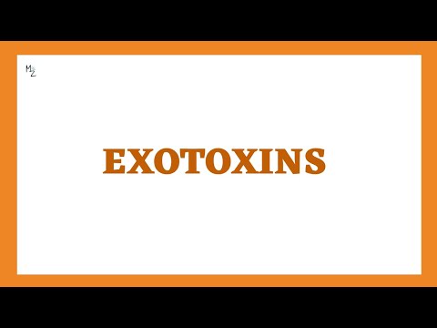 EXOTOXINS | Type-I, Type-II and Type-III Exotoxins | Mechanism of Exotoxins with Examples