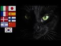 Volevo Un Gatto Nero Kuroneko No Tango Comparision Multilanguage