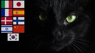 Download lagu 'Volevo un Gatto Nero' (Kuroneko no Tango) Comparision Multilanguage mp3