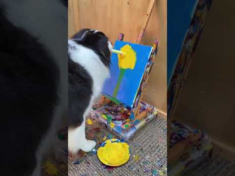 Painter Dog - Dog Loves to Paint #dog #pet #artist #shorts