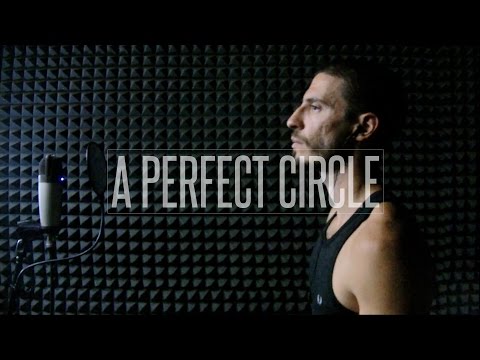 A Perfect Circle - 3 Libras (vocal cover w/ lyrics)